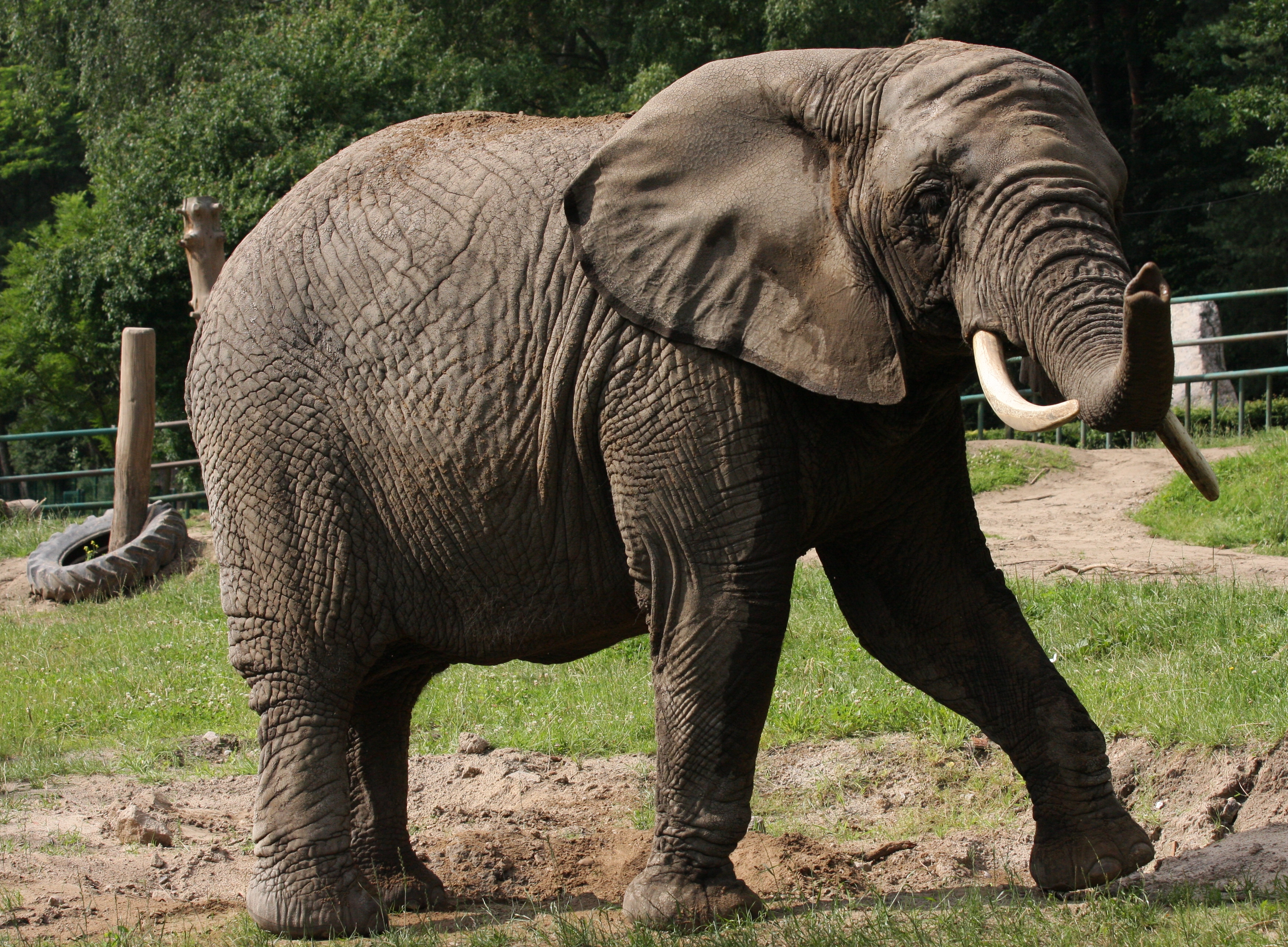 Gdański Ogród Zoologiczny